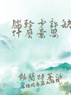 脑干少许缺血灶什么意思