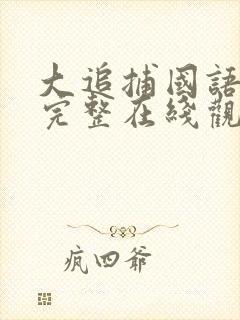 大追捕国语高清完整在线观看