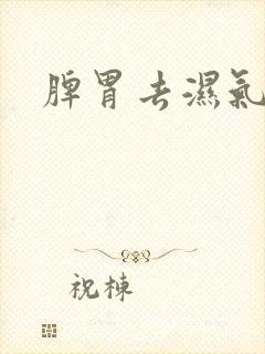 脾胃去湿气太重