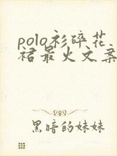 polo衫碎花裙最火文案