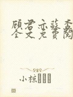 顾君亦苏杳小说全文免费阅读