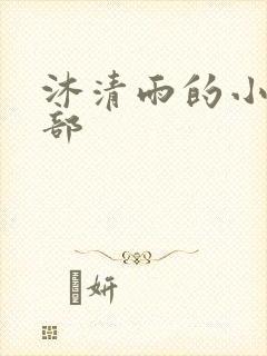 沐清雨的小说全部