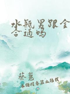 水瓶男跟金牛女合适吗