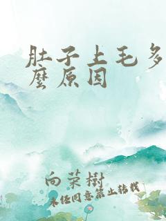 肚子上毛多是什么原因