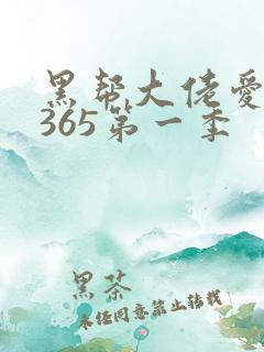 黑帮大佬爱上我365第一季