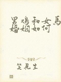 男鸡和女马相配婚姻如何