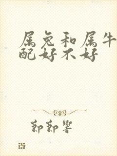 属兔和属牛的婚配好不好