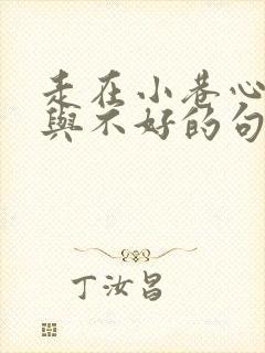 走在小巷心情好与不好的句子