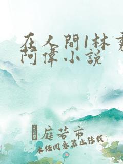 在人间1林秀芳阿伟小说