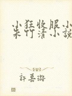 小狂收服小舞,朱竹清小说