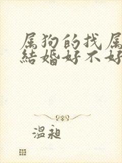 属狗的找属兔的结婚好不好
