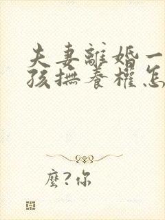 夫妻离婚一个小孩抚养权怎么判