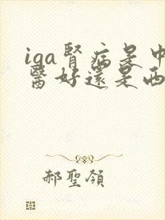 iga肾病是中医好还是西医好