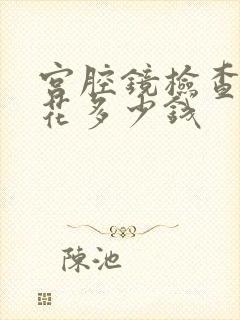 宫腔镜检查需要花多少钱