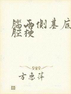 脑两侧基底节区腔梗