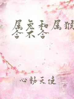 属兔和属猴婚姻合不合