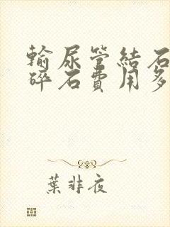 输尿管结石体外碎石费用多少钱