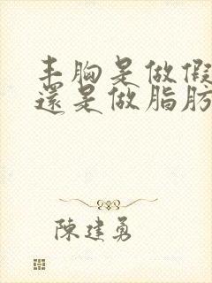 丰胸是做假体好还是做脂肪填充比较好