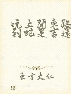 晚上开车路上遇到蛇是吉还是凶