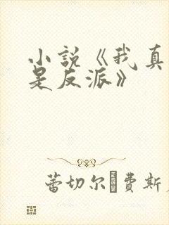 小说《我真的不是反派》