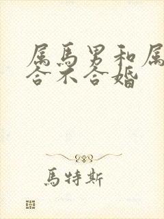 属马男和属蛇女合不合婚