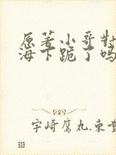 原著小哥对汪藏海下跪了吗