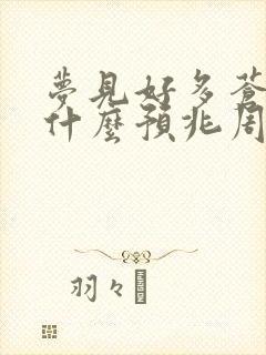 梦见好多苍蝇是什么预兆周公解梦