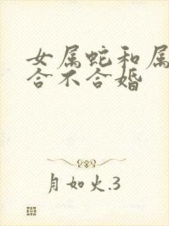女属蛇和属虎的合不合婚