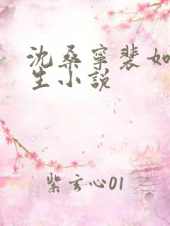 沈桑宁裴如衍重生小说