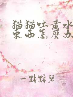 猫猫吐黄水不吃东西怎么办