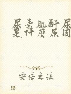 尿素肌酐尿酸高是什么原因如何治疗