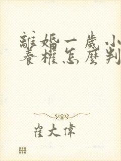 离婚一岁小孩抚养权怎么判