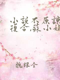 小说不原谅,不复合,苏小姐独美免费