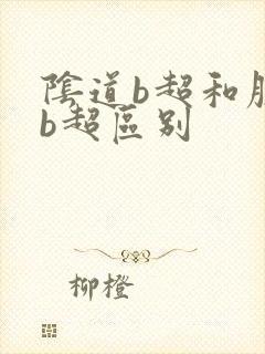 阴道b超和腹部b超区别