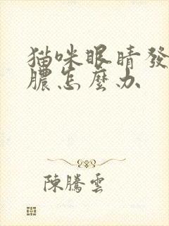 猫咪眼睛发炎流脓怎么办