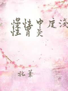 慢性中度浅浅表性胃炎