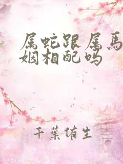 属蛇跟属马的婚姻相配吗