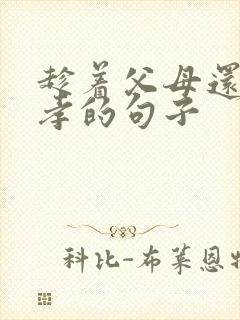 趁着父母还在尽孝的句子