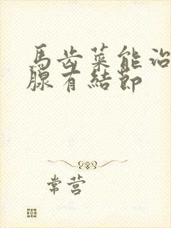 马齿菜能治疗乳腺有结节