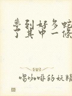 梦到好多蛇还打了其中一条预示什么