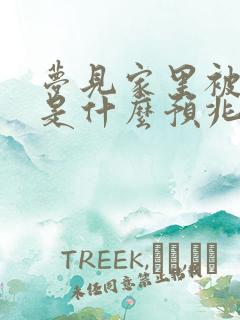 梦见家里被盗了是什么预兆解梦