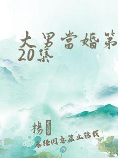 大男当婚第二部20集