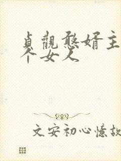 贞观憨婿主角几个女人