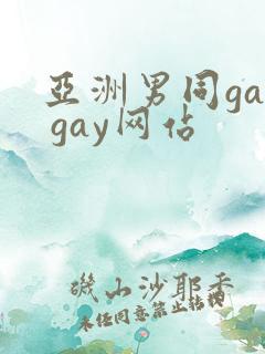 亚洲男同gay gay网站