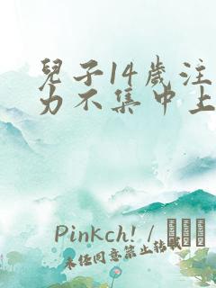 儿子14岁注意力不集中上课爱发呆