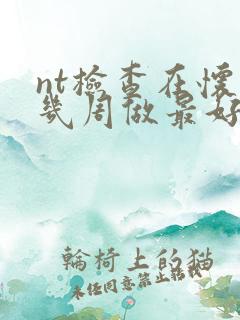 nt检查在怀孕几周做最好