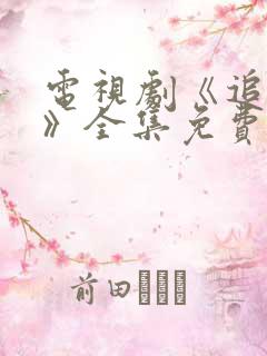 电视剧《追捕者》全集免费