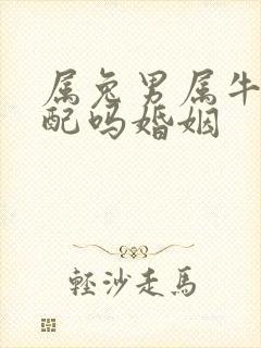 属兔男属牛女相配吗婚姻