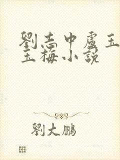 刘志中卢玉清卢玉梅小说