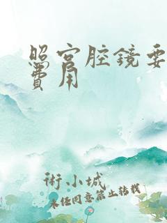 照宫腔镜要多少费用